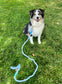 "Sky Blue" Rope Leash