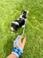 "Sky Blue" Rope Leash