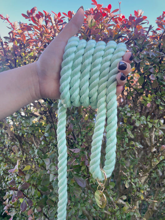 "Mint" Rope Leash