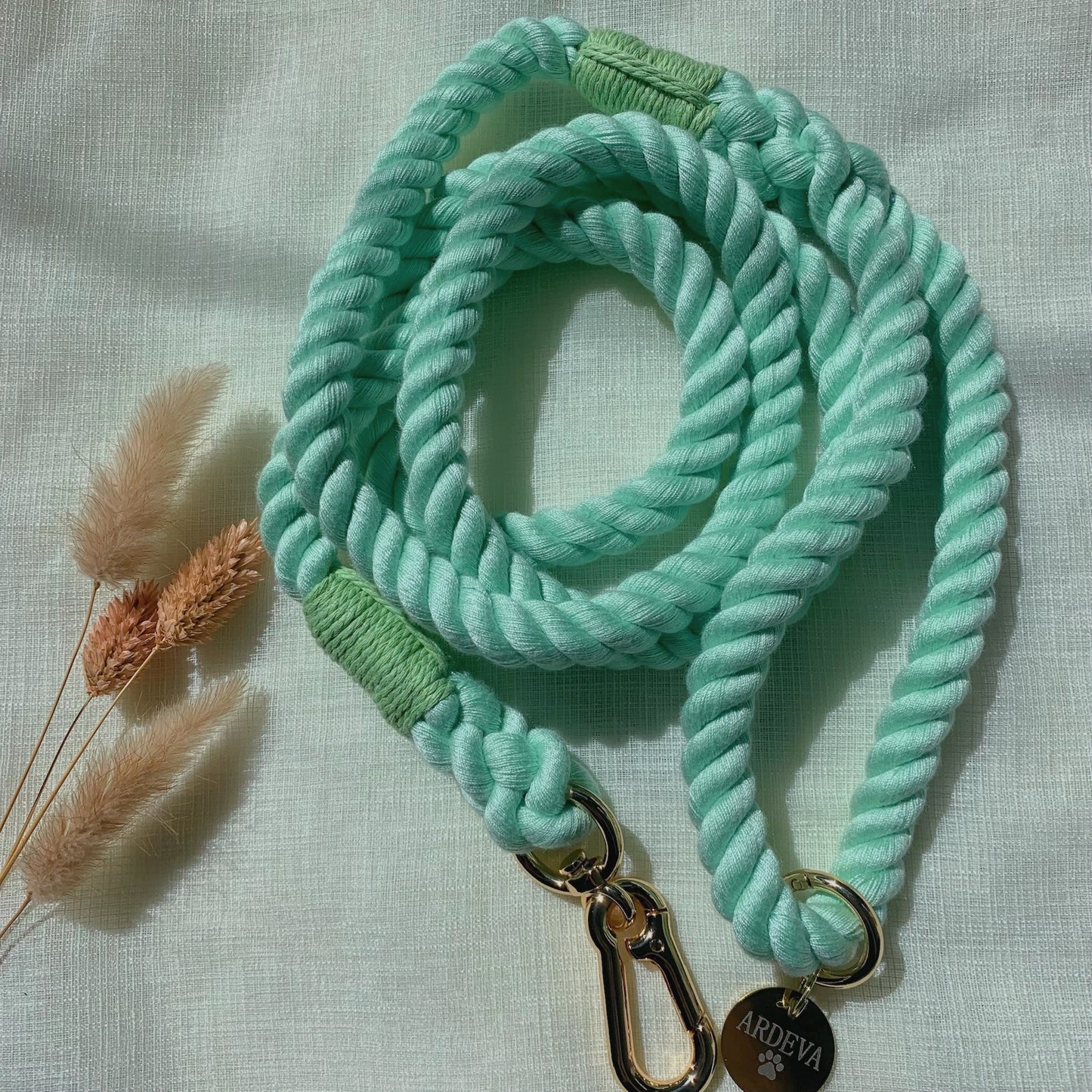 "Mint" Rope Leash